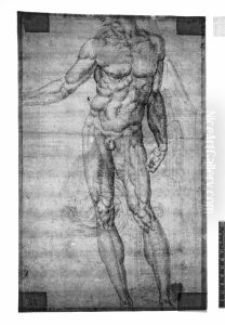 Study of a male nude standing to front
