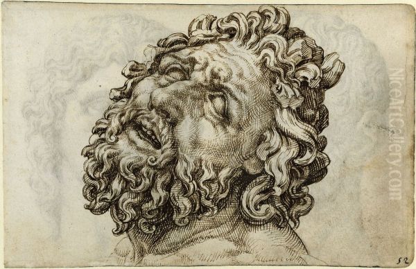 Head of the Laocoon - view 1