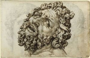 Head of the Laocoon by Maarten Van Heemskerck