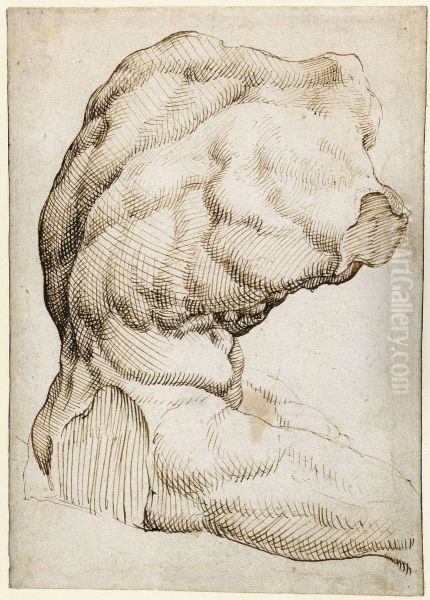 Belvedere Torso - view 1