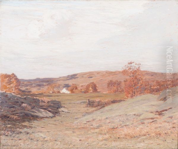 Old Pastures - view 1