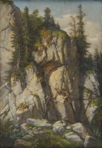 Rochers by Sebastian Luz