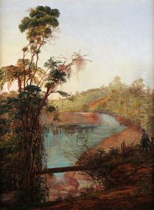 Cascata do Itamaraty, Petropolis by Nicola Antonio Facchinetti