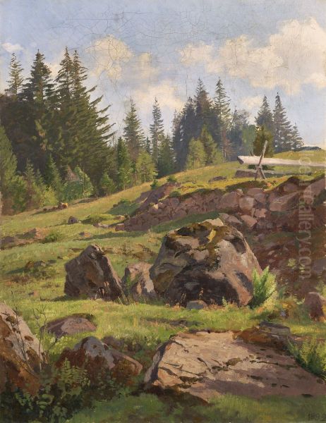 Paysage de la Foret-Noire - view 1