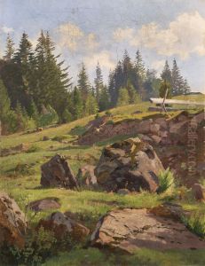 Paysage de la Foret-Noire