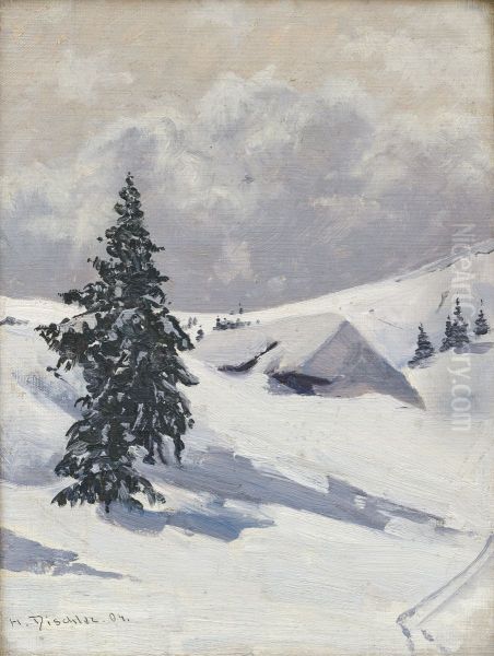 Baldenweger Hut on the Feldberg - view 1