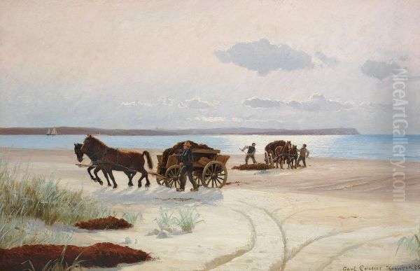 Fishermen loading seaweed on horsecarts. - view 1