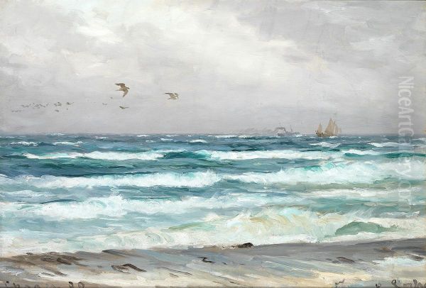 Surf at Skagen. - view 1