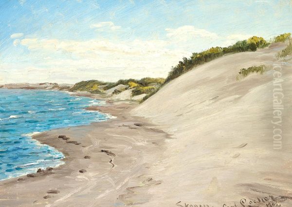 Dunes by the sea. - view 1