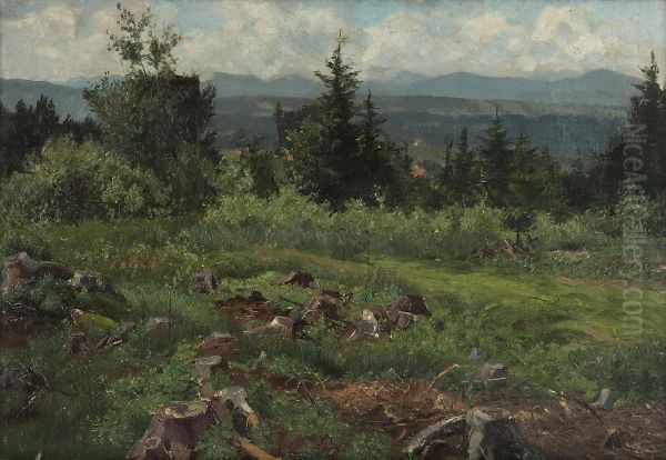 Thuringer Landschaft - view 1