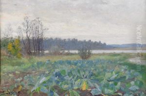 Coastal Landscape with Cabbage Field