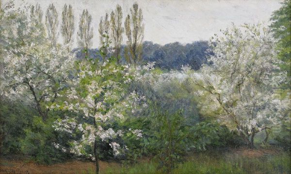 Flowering tree - view 1