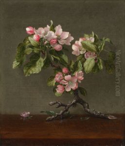 Apple Blossoms
