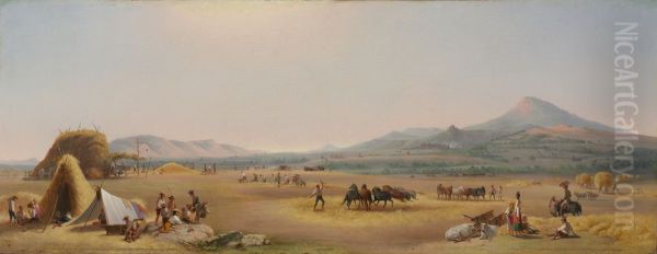 Harvest on the Roman Campagna - view 1