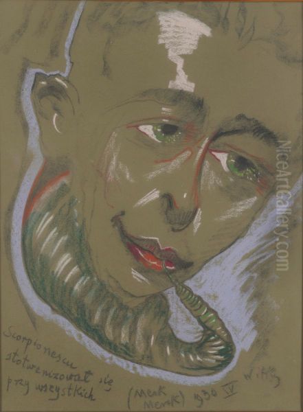 Portret Stefana Totwena, Scorpionescu - view 1