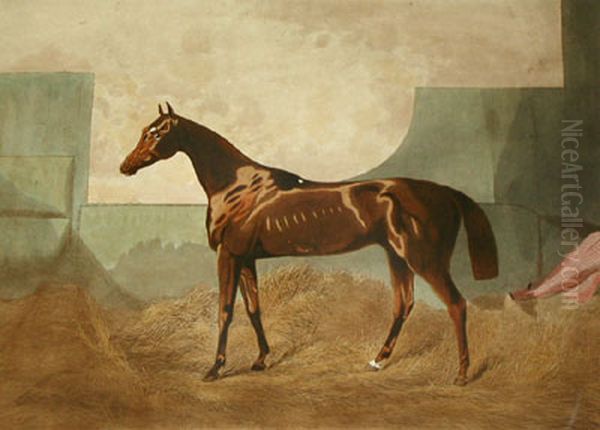Gladiateur - view 1