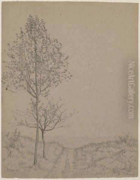 Landscape with Two Young Trees along a Path - view 1