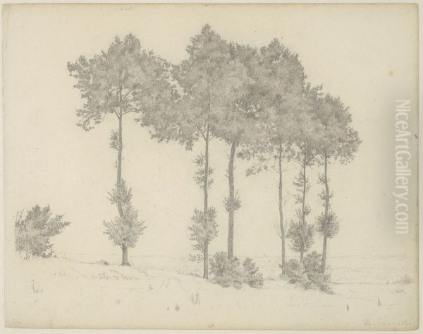 Study of Six Trees in a Landscape - view 1
