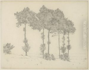 Study of Six Trees in a Landscape