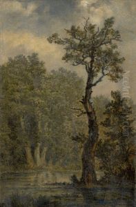 Wooded Landscape Wooded Landscape