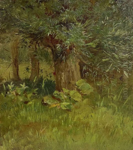 Tree study - view 1