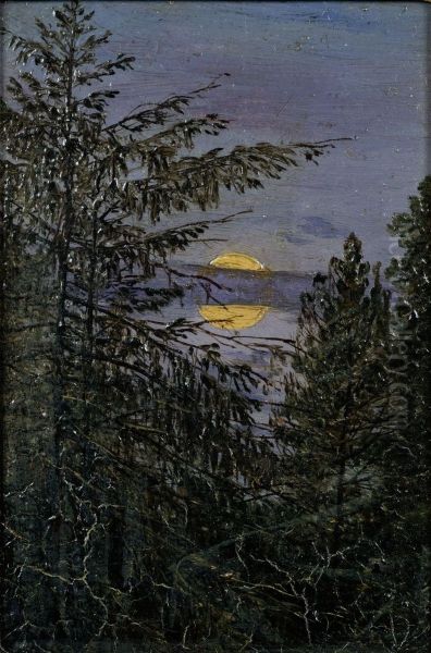 Moonlight over pine trees - view 1