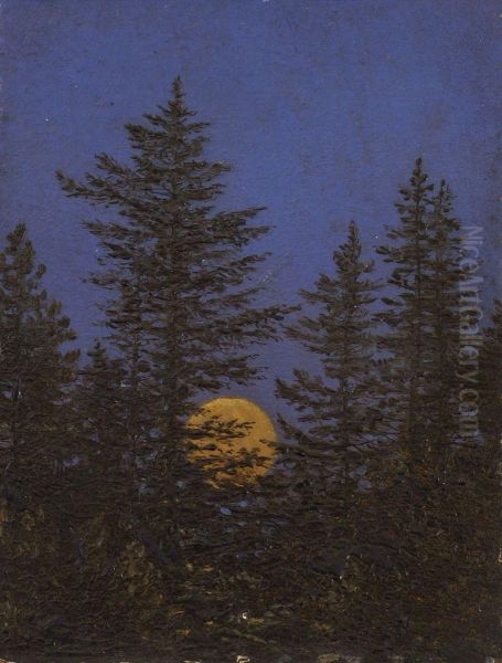 Rising full moon behind fir trees - view 1