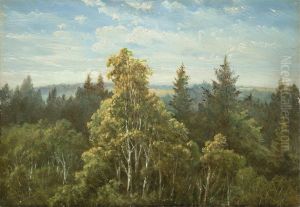 Wooded slope near Pillnitz