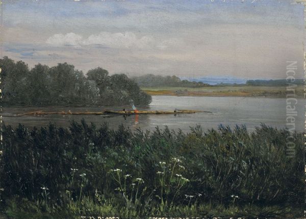 Elbinsel bei Pillnitz - view 1