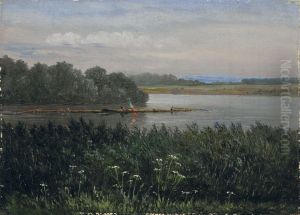 Elbinsel bei Pillnitz Elbinsel bei Pillnitz