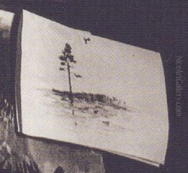 Landscape with a pine - view 1