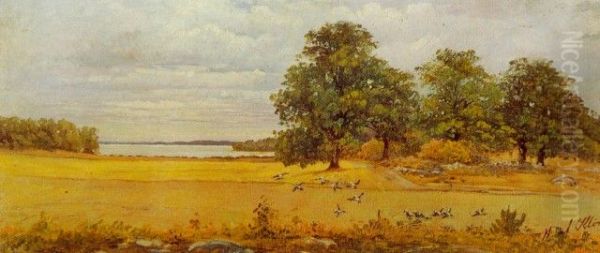 Late Summer - view 1