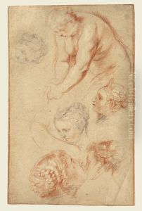 Studies of Women Studies of Women
