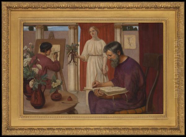 Dioscorides describing the mandrake - view 1