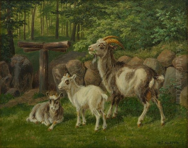 Goats by a stone fence. - view 1