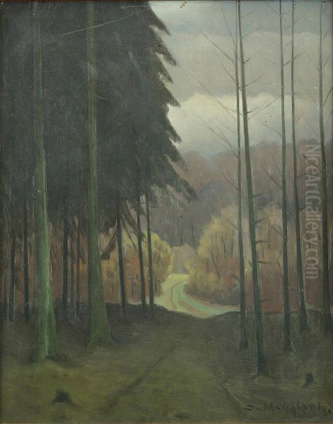 Skovparti, "Lange Jacob", Christiansfeld. - view 1