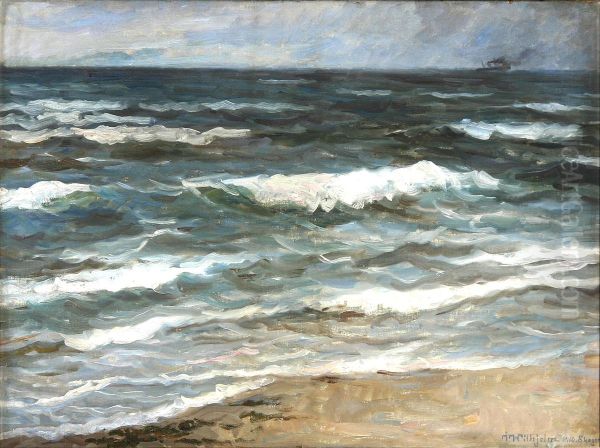 A coastal scenery from Skagen. - view 1