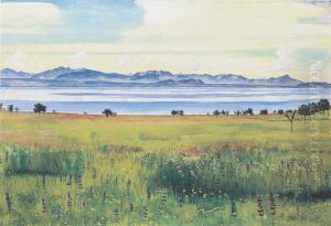 Der Genfersee von St Prex aus