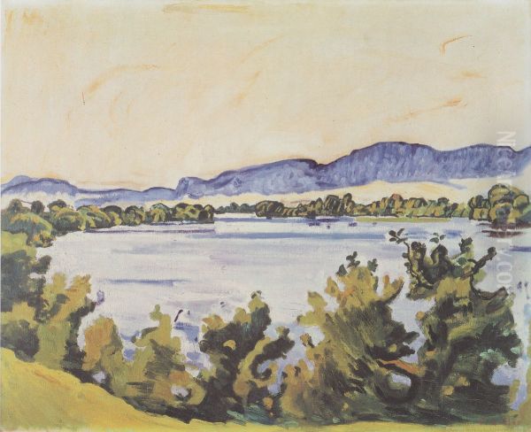 Die Aare bei Solothurn - view 1