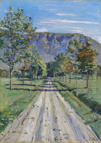 Die Strasse nach Evordes - view 1