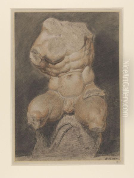Study of the Belvedere Torso - view 1