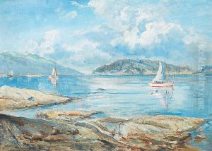 A view of the Oslofjord. A view of the Oslofjord.