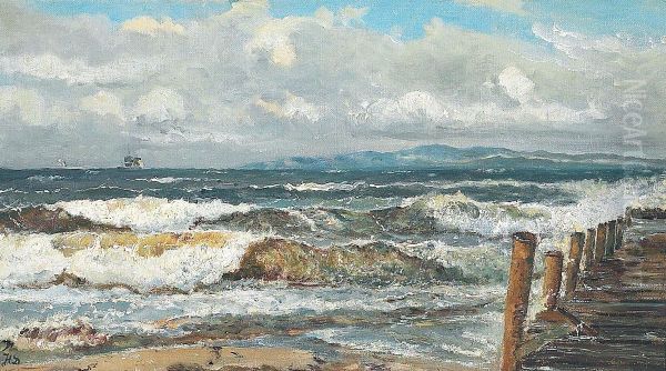 A windswept coast with ships on the horizon. - view 1