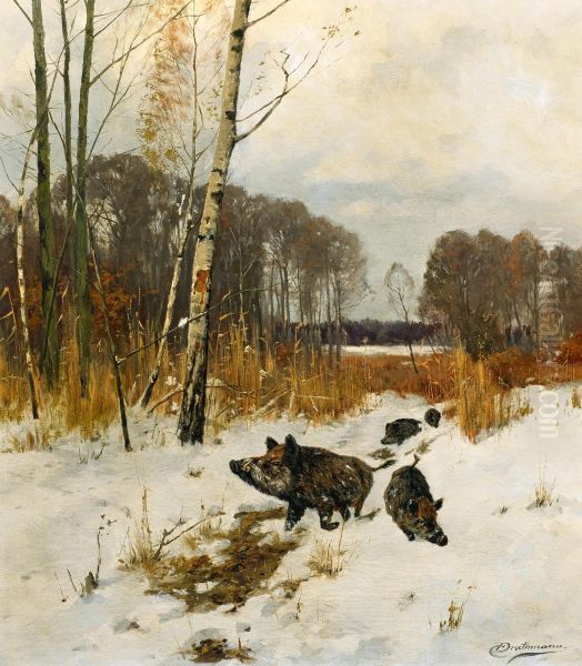 Wild boars in the snow - view 1