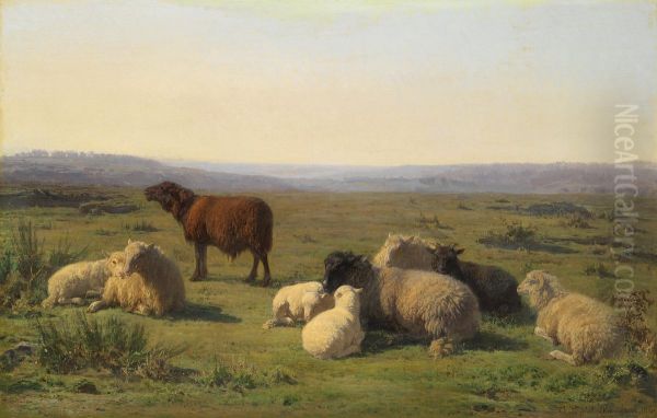 Moutons se reposant dans un pre - view 1
