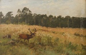 Deer in a forest clearing