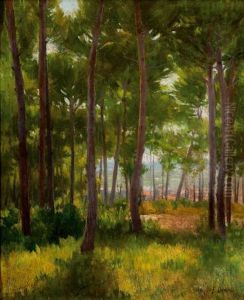 Alrededores De Alcoy by Fernando (cabrera) Canto