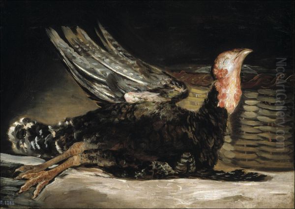Dead turkey - view 1