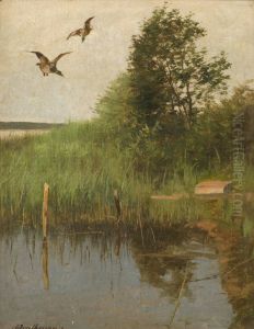 Landing mallards by Johann Christopher Drathmann