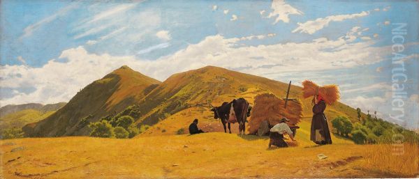 Wheat harvest in the mountains of San Marcello Pistoiese, fraction of San Marcello Piteglio - view 1